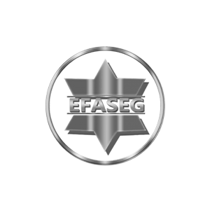 Logo Efaseg